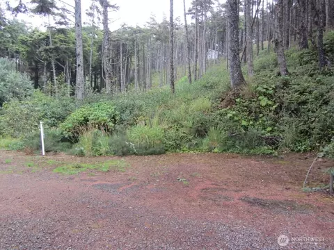 29 Golden Ln, Pacific Beach, WA 98571