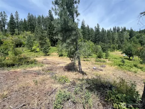 0 1 Tbd Mitchell Rd, Northport, WA 99157