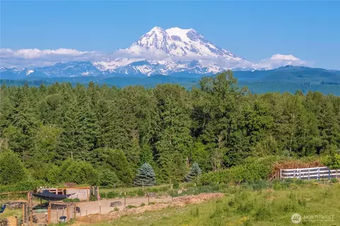 9906 328th St E, Graham, WA 98338