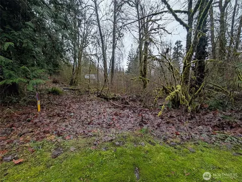 16006 Shuksan Rim Dr, Glacier, WA 98244