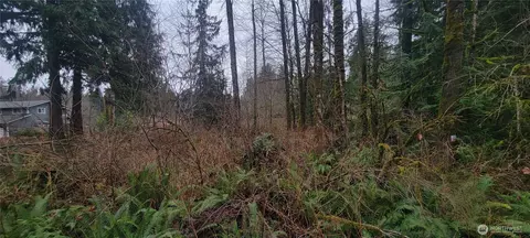 11228 312th Ave NE, Carnation, WA 98014