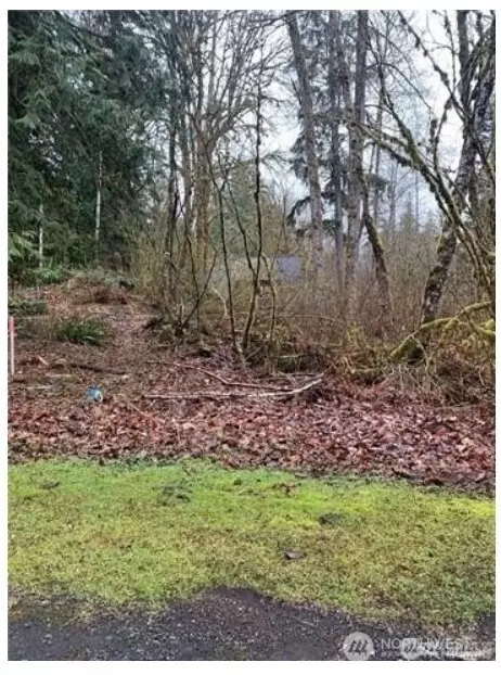 16007 Shuksan Rim Dr, Deming, WA 98244