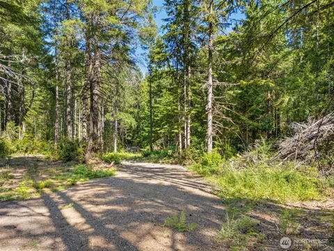 0 E Tr 3 E Mason Lake Rd, Grapeview, WA 98546 photo 3