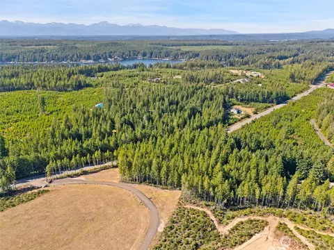 0 E Tr 3 E Mason Lake Rd, Grapeview, WA 98546 photo 4