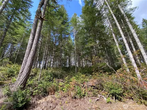 0 E Tr 3 E Mason Lake Rd, Grapeview, WA 98546 photo 11