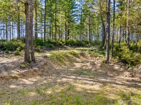 0 E Tr 3 E Mason Lake Rd, Grapeview, WA 98546 photo 2