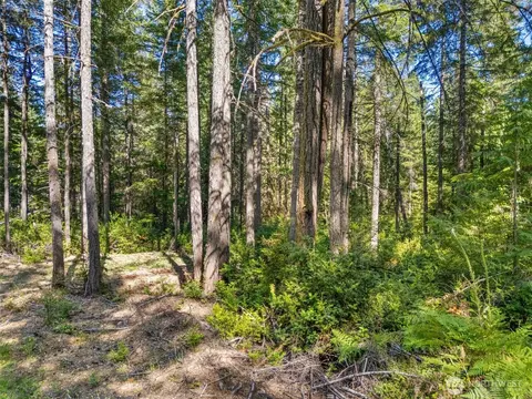 0 E Tr 3 E Mason Lake Rd, Grapeview, WA 98546 photo 8