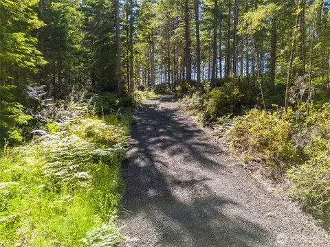 0 E Tr 3 E Mason Lake Rd, Grapeview, WA 98546 photo 7