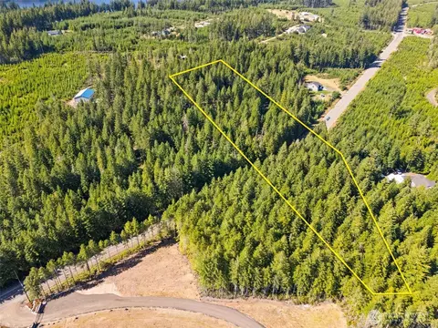 0 E Tr 3 E Mason Lake Rd, Grapeview, WA 98546 photo 6