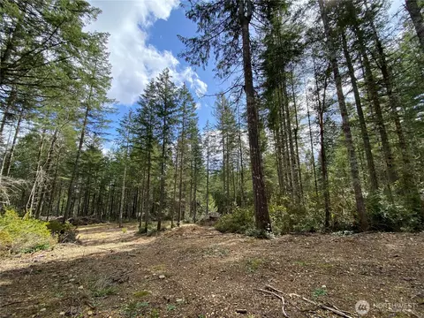 0 E Tr 3 E Mason Lake Rd, Grapeview, WA 98546 photo 9