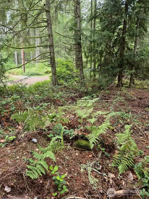 11119 122nd Avenue Ct, Anderson Island, WA 98303
