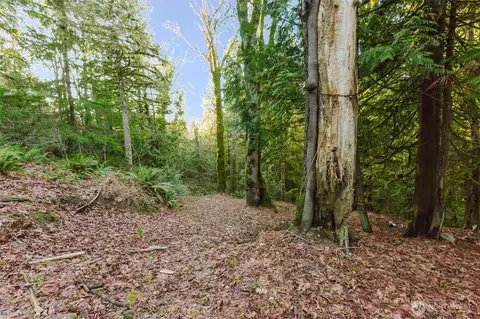 360 E Rasor Rd, Belfair, WA 98528 photo 32