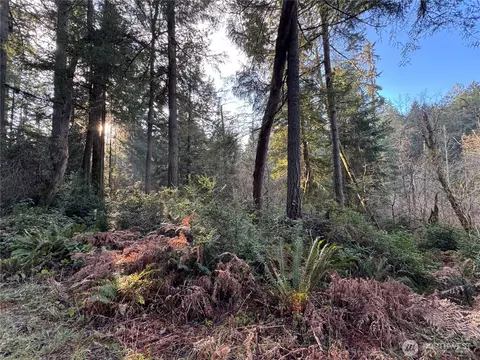 9606 Otso Point Rd, Anderson Island, WA 98303