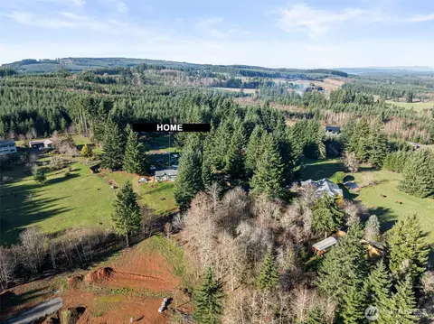 131 Silverthistle Rd, Winlock, WA 98596 photo 27