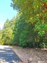 12611 Silver Dr, Anderson Island, WA 98303