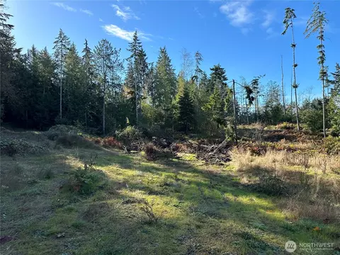 4 Lots Lilypad Pl E, Port Orchard, WA 98366