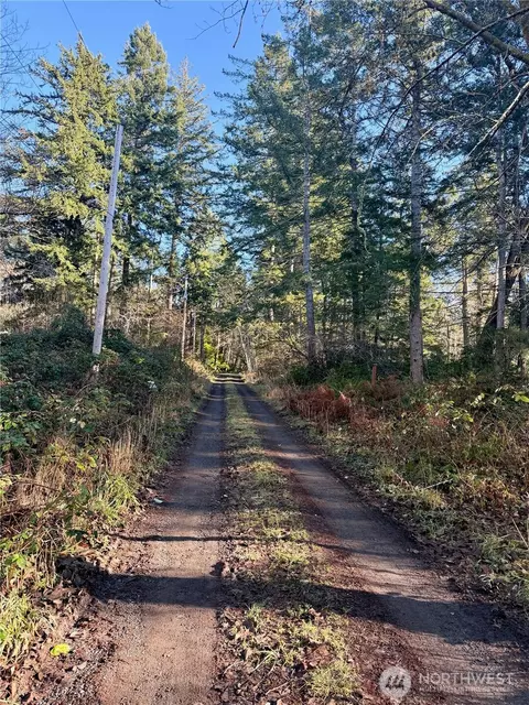 51 Fox Rd, Quilcene, WA 98376 photo 2