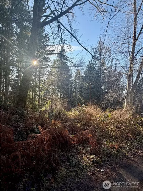 51 Fox Rd, Quilcene, WA 98376