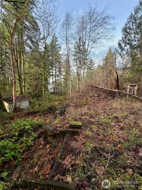 51 Fox Rd, Quilcene, WA 98376 photo 4