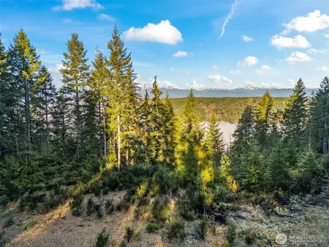 1133 E Timber Tides Dr, Union, WA 98592
