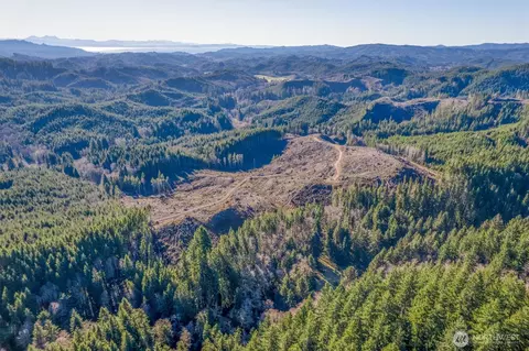 0 W Deep River Rd, Naselle, WA 98638