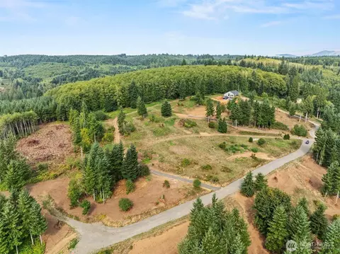 287 Bison Run Rd, Longview, WA 98632 photo 3