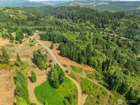 287 Bison Run Rd, Longview, WA 98632 photo 4