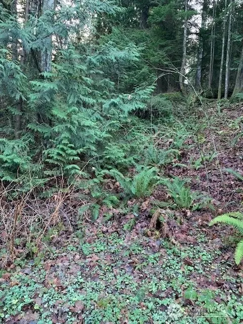 283 SE Nn Se 146th St, Issaquah, WA 98027