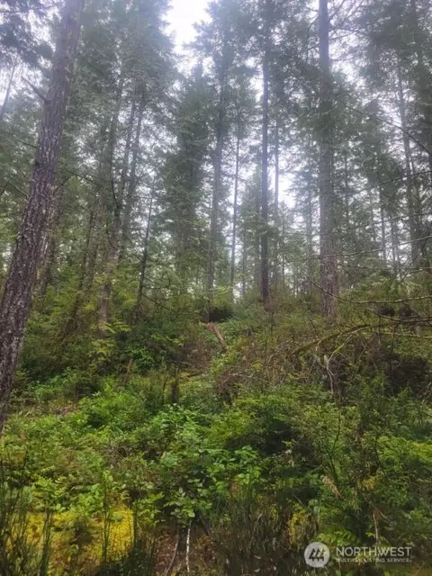 1 Gd 2048 Rd, Union, WA 98592