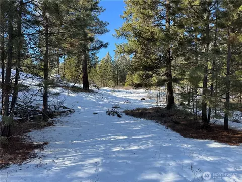 0 Tbd Cartwright Dr #LOT 1, Tonasket, WA 98855