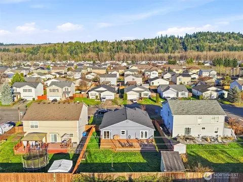View/Area - 1015 Nunnally Ave NW, Orting, WA 98360 photo 3 of 5