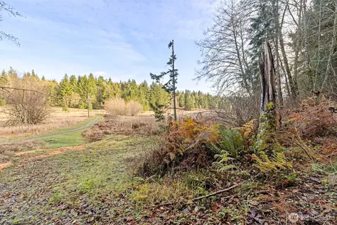 0 Nka Lost Mountain Rd, Sequim, WA 98382 photo 3