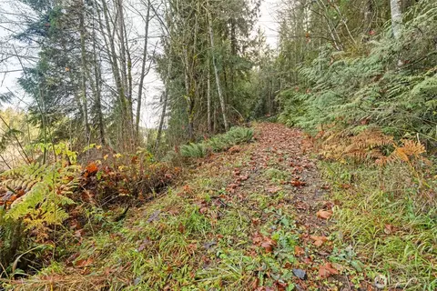 0 Nka Lost Mountain Rd, Sequim, WA 98382 photo 4