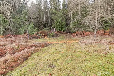 0 Nka Lost Mountain Rd, Sequim, WA 98382 photo 6