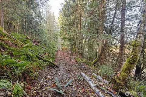 0 Nka Lost Mountain Rd, Sequim, WA 98382 photo 5