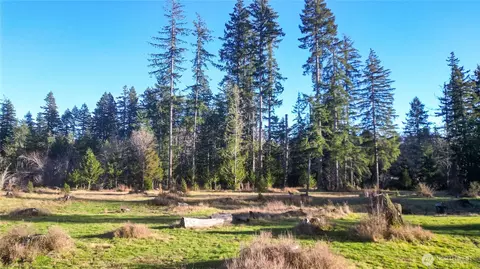 441 Elma Hicklin Rd W, Mccleary, WA 98557
