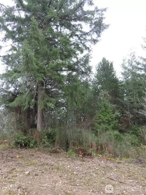 4 Cottonwood, Grapeview, WA 98546 photo 13