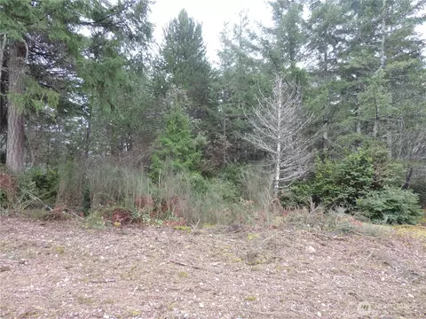 4 Cottonwood, Grapeview, WA 98546 photo 12