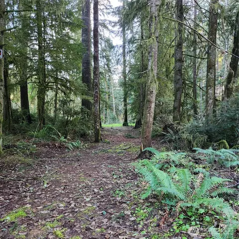 17616 30th St NW, Lakebay, WA 98349