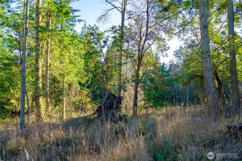 995 Kirner Rd, Sequim, WA 98382 photo 28
