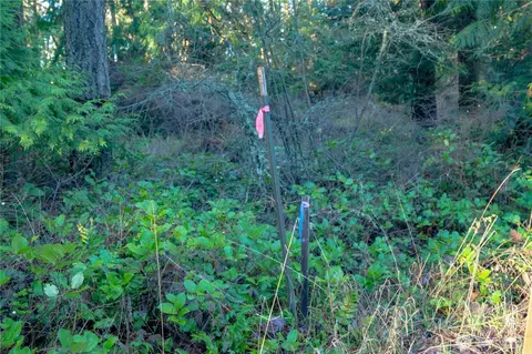 995 Kirner Rd, Sequim, WA 98382 photo 24