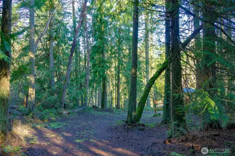 995 Kirner Rd, Sequim, WA 98382 photo 17
