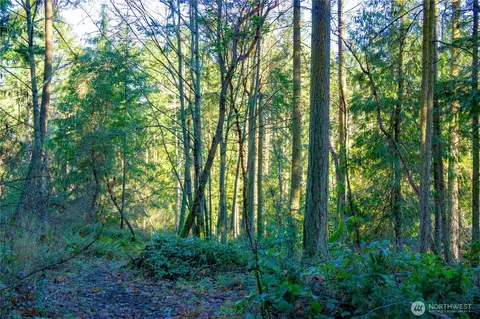 995 Kirner Rd, Sequim, WA 98382 photo 25