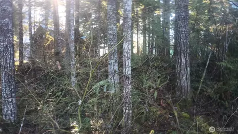 123 Elkhorn Trl, Packwood, WA 98361