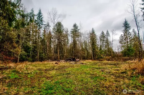 236 Tryon Rd, Onalaska, WA 98570 photo 37