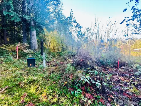 0 Valley Ridge Rd, Chehalis, WA 98532