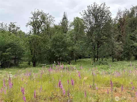 155 Benson Ln, Castle Rock, WA 98611
