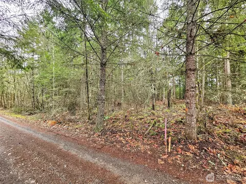 17011 226th Ave E, Orting, WA 98360 photo 14
