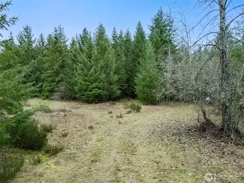17011 226th Ave E, Orting, WA 98360 photo 3