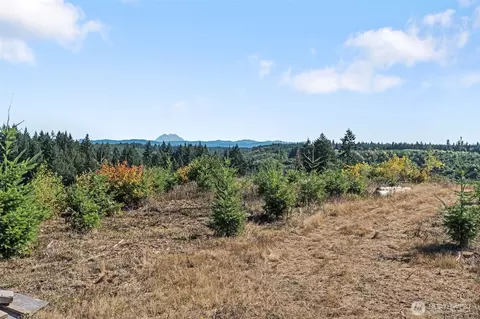 0 Lot 2 Macomber Rd W, Chehalis, WA 98532